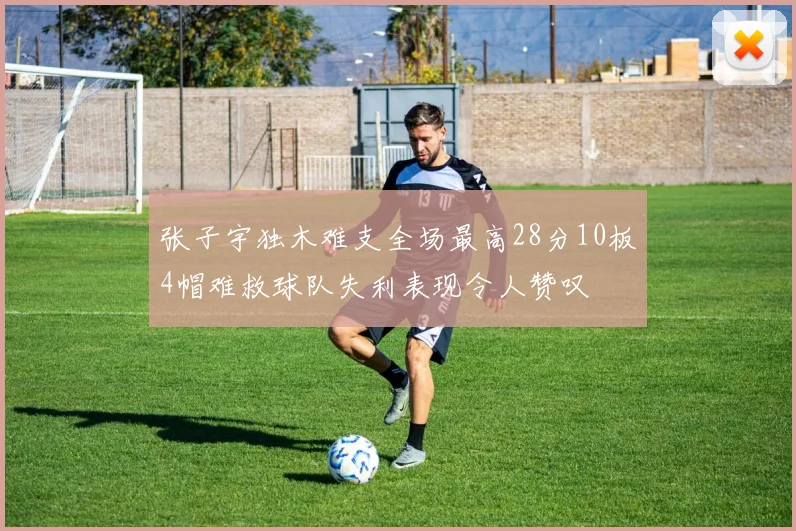 张子宇独木难支全场最高28分10板4帽难救球队失利表现令人赞叹